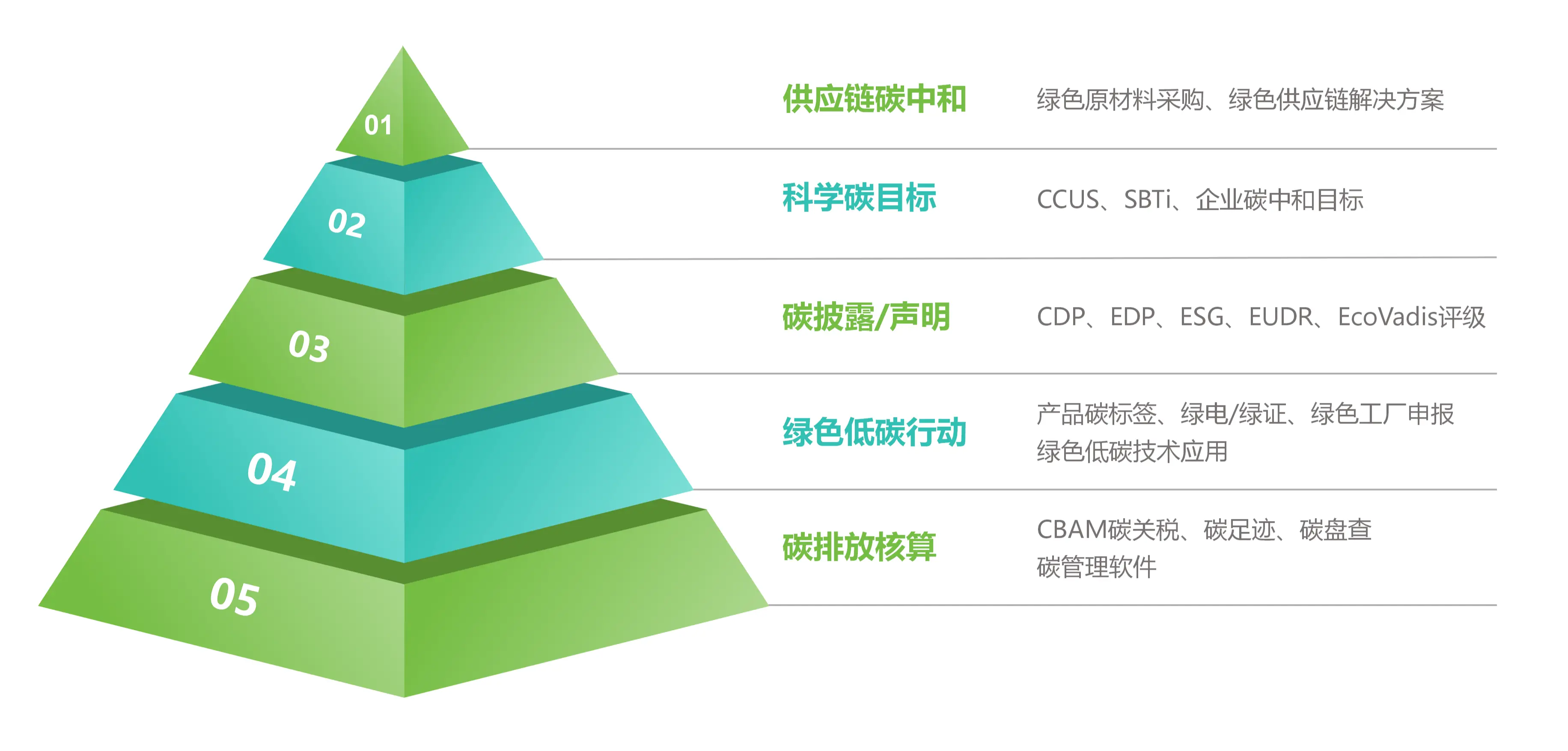 践行碳达峰,实现碳中和